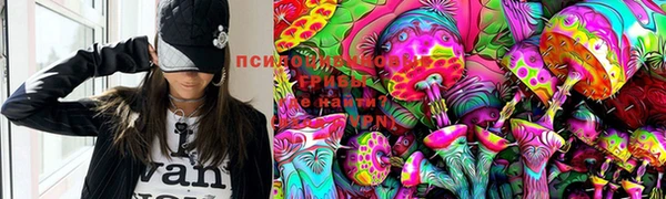 ПСИЛОЦИБИНОВЫЕ ГРИБЫ Балабаново