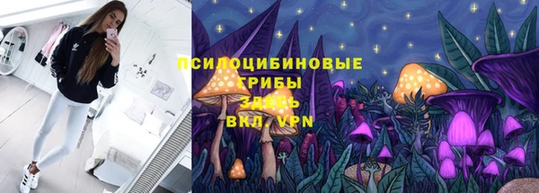 ПСИЛОЦИБИНОВЫЕ ГРИБЫ Балабаново