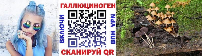 Галлюциногенные грибы Cubensis Плёс