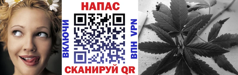 Бошки Шишки семена площадка Telegram Плёс